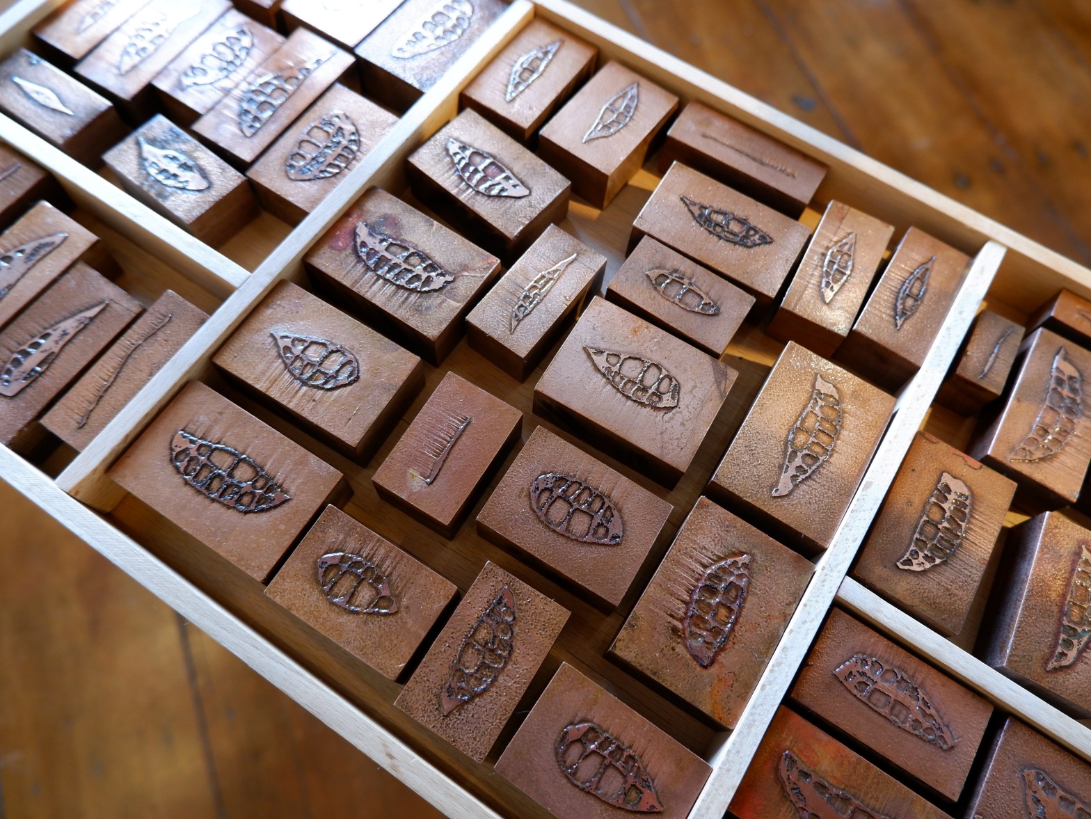 tray of print blocks showing mouths opening and closing in an imitation of birdsong